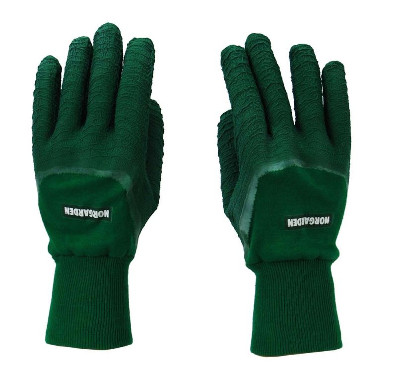 Rosehanske grønn medium 400300