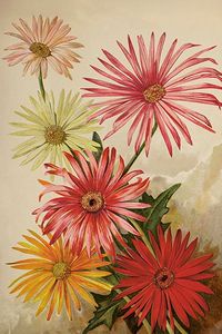Hovedbilde Vintage enkle kort, 10x15 cm