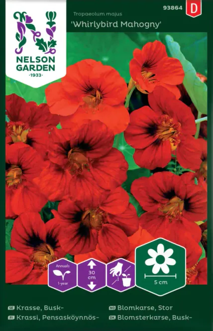 Hovedbilde Blomkarse, Stor, Whirlybird Mahogny