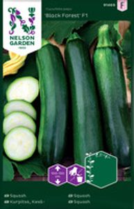 Hovedbilde Squash, Slyng 'Black Forest' F1