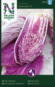 Hovedbilde K&aring;l, Kina-, Scarvita F1