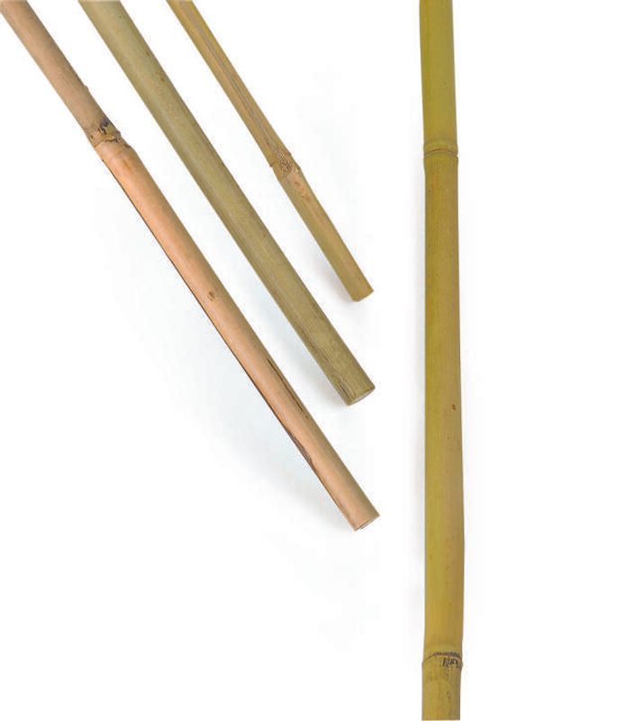 Bambus stav 100cm