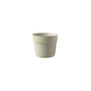 Hovedbilde BLOOM 24 MILK
