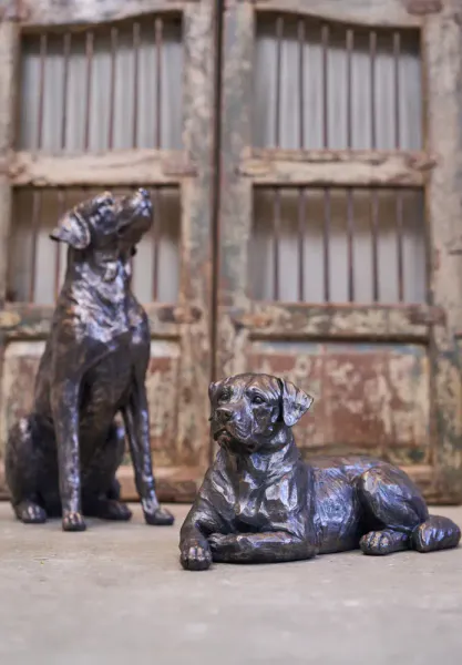 Hund 43x20x20cm poly