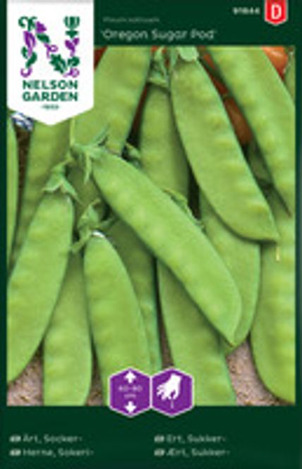 Hovedbilde Ert, Sukker-, Oregon Sugar Pod