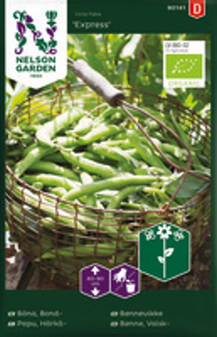 Hovedbilde Bønnevikke, Express, Organic